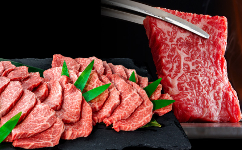 飛騨牛 赤身メイン 焼肉用 約500g（約250g×2パック）A4～A5等級使用 焼肉 肉 牛 牛肉 お肉 国産 和牛 国産牛 赤身 BBQ お取り寄せ 冷蔵 送料無料 焼肉マルイ 岐阜県 安八町 2573553 - 岐阜県安八町
