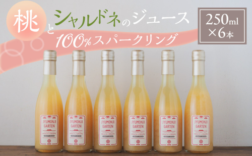 桃とシャルドネのジュース 100％スパークリング（250ml×6本） 2573621 - 長野県駒ヶ根市