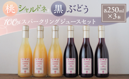 桃シャルドネと黒ぶどう 100％スパークリングジュースセット（各250ml×3本） 2573622 - 長野県駒ヶ根市