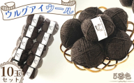 毛糸 あみもねっとウルグアイウール天然色 【5番色10玉セット】 ／ 毛糸 ウール100 編み物 天然色 ナチュラルカラー 手編み 棒針 かぎ針 軽い 柔らかい ふっくら 編みやすい セーター マフラー 手作り ハンドメイド 冬支度 愛知県 No.374