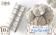 毛糸 あみもねっとアルパカ 天然色 【2番色10玉セット】 ／ 毛糸 アルパカ ウール混 編み物 手編み 柔らかい 軽い なめらか 秋冬 マフラー セーター 帽子 ハンドメイド 棒針 かぎ針 ナチュラルカラー 普段使い 愛知県 No.376
