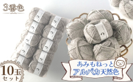 毛糸 あみもねっとアルパカ 天然色 【3番色10玉セット】 ／ 毛糸 アルパカ ウール混 編み物 手編み 柔らかい 軽い なめらか 秋冬 マフラー セーター 帽子 ハンドメイド 棒針 かぎ針 ナチュラルカラー 普段使い 愛知県 No.377