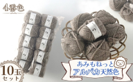 毛糸 あみもねっとアルパカ 天然色 【4番色10玉セット】 ／ 毛糸 アルパカ ウール混 編み物 手編み 柔らかい 軽い なめらか 秋冬 マフラー セーター 帽子 ハンドメイド 棒針 かぎ針 ナチュラルカラー 普段使い 愛知県 No.378