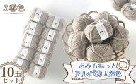 毛糸 あみもねっとアルパカ 天然色 【5番色10玉セット】 ／ 毛糸 アルパカ ウール混 編み物 手編み 柔らかい 軽い なめらか 秋冬 マフラー セーター 帽子 ハンドメイド 棒針 かぎ針 ナチュラルカラー 普段使い 愛知県 No.379