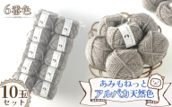 毛糸 あみもねっとアルパカ 天然色 【6番色10玉セット】 ／ 毛糸 アルパカ ウール混 編み物 手編み 柔らかい 軽い なめらか 秋冬 マフラー セーター 帽子 ハンドメイド 棒針 かぎ針 ナチュラルカラー 普段使い 愛知県 No.380