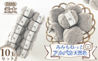 毛糸 あみもねっとアルパカ天然色並太 【3番色10玉セット】 ／ 毛糸 アルパカ ウール混 編み物 手編み 柔らかい 軽い なめらか 秋冬 マフラー セーター 帽子 ハンドメイド 棒針 かぎ針 ナチュラルカラー 普段使い 愛知県 No.384