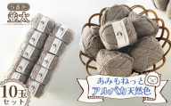 毛糸 あみもねっとアルパカ天然色並太 【5番色10玉セット】 ／ 毛糸 アルパカ ウール混 編み物 手編み 柔らかい 軽い なめらか 秋冬 マフラー セーター 帽子 ハンドメイド 棒針 かぎ針 ナチュラルカラー 普段使い 愛知県 No.386