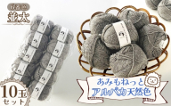 毛糸 あみもねっとアルパカ天然色並太 【6番色10玉セット】 ／ 毛糸 アルパカ ウール混 編み物 手編み 柔らかい 軽い なめらか 秋冬 マフラー セーター 帽子 ハンドメイド 棒針 かぎ針 ナチュラルカラー 普段使い 愛知県 No.387
