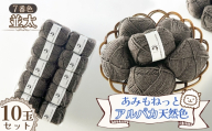 毛糸 あみもねっとアルパカ天然色並太 【7番色10玉セット】 ／ 毛糸 アルパカ ウール混 編み物 手編み 柔らかい 軽い なめらか 秋冬 マフラー セーター 帽子 ハンドメイド 棒針 かぎ針 ナチュラルカラー 普段使い 愛知県 No.388