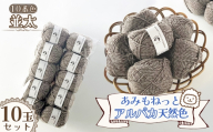 毛糸 あみもねっとアルパカ天然色並太 【10番色10玉セット】 ／ 毛糸 アルパカ ウール混 編み物 手編み 柔らかい 軽い なめらか 秋冬 マフラー セーター 帽子 ハンドメイド 棒針 かぎ針 ナチュラルカラー 普段使い 愛知県 No.391