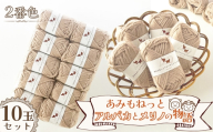毛糸 あみもねっとアルパカとメリノの物語 【2番色10玉セット】 ／ 毛糸 超極太 アルパカ メリノウール ベビーアルパカ 編み物 手編み 極太毛糸 柔らかい なめらか 厚手 マフラー 帽子 冬小物 ハンドメイド 棒針 かぎ針 愛知県 No.393
