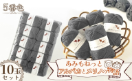 毛糸 あみもねっとアルパカとメリノの物語 【5番色10玉セット】 ／ 毛糸 超極太 アルパカ メリノウール ベビーアルパカ 編み物 手編み 極太毛糸 柔らかい なめらか 厚手 マフラー 帽子 冬小物 ハンドメイド 棒針 かぎ針 愛知県 No.396