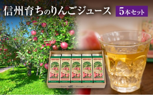 成増農園 信州育ちのりんごストレートジュース　1,000ml×5本 |  ジュース りんご アップルジュース 林檎 アップル 果汁 100% 人気 おすすめ ストレートジュース  飲料 ドリンク 飲み物 ギフト 送料無料 長野県 長野市 信州 信濃 ふるさと納税 2574128 - 長野県長野市