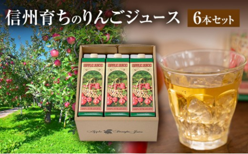 成増農園 信州育ちのりんごストレートジュース　1,000ml×6本 |  ジュース りんご アップルジュース 林檎 アップル 果汁 100% 人気 おすすめ ストレートジュース  飲料 ドリンク 飲み物 ギフト 送料無料 長野県 長野市 信州 信濃 ふるさと納税 2574129 - 長野県長野市