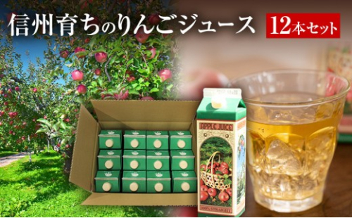 成増農園 信州育ちのりんごストレートジュース　1,000ml×12本 |  ジュース りんご アップルジュース 林檎 アップル 果汁 100% 人気 おすすめ ストレートジュース  飲料 ドリンク 飲み物 ギフト 送料無料 長野県 長野市 信州 信濃 ふるさと納税 2574132 - 長野県長野市