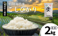 令和7年産 新潟県上越産「 特別栽培米 コシヒカリ 」 白米 2kg 内山農産 こしひかり お米 こめ おすすめ  新潟県産 にいがた 上越