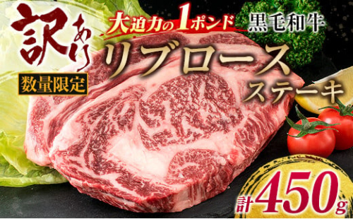 訳あり 数量限定 大迫力 1ポンド 黒毛和牛 リブロース ステーキ 計450g 牛肉 ビーフ 国産 おかず おつまみ アウトレット 食品 焼肉 BBQ バーベキュー 鉄板焼き 贅沢 ご褒美 お祝 記念日 おすすめ お取り寄せ グルメ おすそ分け 冷凍 宮崎県 日南市 送料無料_BD70-23