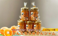 かながわブランド大津みかん　きんたろうみかんジャム　170g×6個【 ジャム みかん 神奈川県 山北町 】