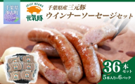 ＜千葉県多古町産＞元気豚 ウインナーソーセージセット(36本入り) TAKB070