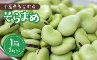 大村農場のそら豆2kg(5月下旬より順次発送) TAKG001