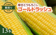 大村農場の朝採り極甘とうもろこしゴールドラッシュ13本(6月下旬から発送) TAKG002