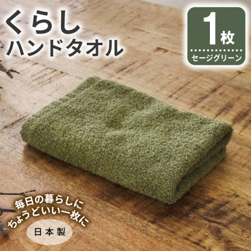 くらしハンドタオル 1枚 セージグリーン【泉州タオル たおる 国産 吸水 普段使い シンプル 日用品 家族 ファミリー】 005A787 2574669 - 大阪府泉佐野市