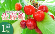 【令和8年産先行予約】 鈴木弥吉さくらんぼ園の佐藤錦　Lサイズ バラ詰め 1kg (500g×2)  山形県鶴岡産　K-866　| サクランボ チェリー 果物 くだもの フルーツ 1キロ 旬 人気 美味しい 2026年産 お取り寄せ 返礼品