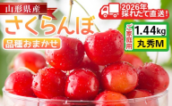 ≪2026年先行予約≫ご家庭用 山形県産 さくらんぼ 品種おまかせ(佐藤錦・紅秀峰など)  1.44kg(180g×8P) 丸秀 M以上 フードパック詰め 2026年6月中旬頃より発送 果物 くだもの フルーツ サクランボ チェリー 家庭用 自宅用 産地直送 山形県 西川町 月山 FYN6-532