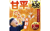 ＜甘みぎっっしり!＞シャキシャキ甘い♪♪＜甘平＞2kg＜D49-63＞_みかん ミカン 柑橘 甘平 かんぺい 果物 くだもの フルーツ 甘い 希少 愛媛 デザート 愛媛みかん 密柑 シャキシャキ 高糖度 愛媛県 八幡浜市 おすすめ 送料無料【1509766】 YWTZ055