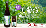 美葡萄 山ぶどうジュース 500ml×2本 FAF-0008