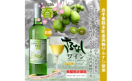 ＜2026年春限定醸造　軽米町産完熟サルナシ使用＞さるなしワイン　2本【1721321】