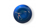 丸小皿 鯉 マジョブルー ［NF264］