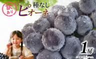訳あり ピオーネ 種なし 1房 450g 以上 2026 年 発送分 数量限定 先行予約 葡萄 巨峰 ぶどう グレープ マスカット ご自宅用 産地直送 農家直送 直売 有機栽培 フルーツ 果物 果実 くだもの 果肉 デザート 旬 味覚 糖度 フレッシュ 新鮮 甘い 甘み ジューシー お取り寄せ プレゼント 贈呈 グルメ ふるさと納税 送料無料 千葉県 銚子市 加瀬農園 【8月中旬頃に順次発送予定】