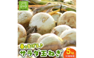 春を告げるサラダ玉ねぎ5kg【1726404】
