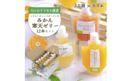 愛媛の人気柑橘を厳選!旬のおすすめ みかん寒天ゼリー12本セット(3種×各4本)＜D25-14＞_ゼリー 寒天 デザート スイーツ セット みかん ミカン 柑橘 フルーツ ふるーつ 果物 くだもの 愛媛 食べ比べ 産直 産地直送 飲むゼリー 国産 無着色 【1255533】 YWTAP008