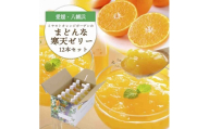 愛媛限定栽培柑橘 まどんな寒天ゼリー12本セット＜D25-16＞【1255523】 YWTAP009