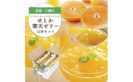 愛媛の高級柑橘 せとか寒天ゼリー12個セット＜D25-19＞_ゼリー 寒天 デザート スイーツ セット せとか みかん ミカン 柑橘 フルーツ ふるーつ 果物 くだもの 愛媛 食べ比べ 産直 産地直送 飲むゼリー 国産 無着色 無香料 【1255528】 YWTAP012