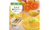 愛媛県八幡浜市のおいしいみかんを使用 みかん寒天ゼリー8本セット＜C25-22＞_ゼリー みかんゼリー みかん寒天ゼリー デザート スイーツ 無着色 無香料 ゲル化剤不使用 pH調整剤不使用 愛媛県 八幡浜市【1255529】 YWTAP015