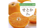 [先行受付] とろける濃厚果肉 せとか2kg 愛媛県八幡浜産[E25-37]_みかん ミカン 愛媛県 フルーツ 果物 くだもの 柑橘 かんきつ 人気 産地直送 産直 ジューシー 甘い 果汁 糖度 甘い 人気 濃厚 [1044414] YW
