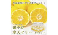 愛媛でしか栽培できない希少柑橘 媛小春(ひめこはる)寒天ゼリー8本セット ＜C25-82＞【1305617】 YWTAP043