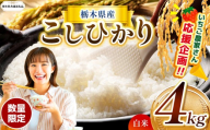 【栃木県共通返礼品】【先行予約】【定期2回】訳あり数量 限定 定期便 令和8年度 栃木県産コシヒカリ 約 4kg | 数量限定 こしひかり  精米 白米 米 ごはん おいしい  密閉パック ふるさと納税 那珂川町 栃木県