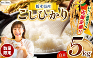 【栃木県共通返礼品】【先行予約】【定期2回】数量 限定 訳あり 定期便 令和8年度 栃木県産 コシヒカリ 約 5kg | 数量限定 こしひかり  精米 白米 米 ごはん おいしい  密閉パック ふるさと納税 那珂川町 栃木県