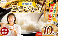 【栃木県共通返礼品】【先行予約】【定期2回】数量 限定  訳あり 定期便 令和8年度 栃木県産 コシヒカリ 約 10kg | 数量限定 こしひかり  精米 白米 米 ごはん おいしい okome kome お米 コシヒカリ ふるさと納税 那珂川町 栃木県