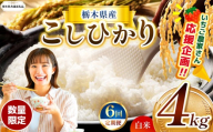 【栃木県共通返礼品】【先行予約】【定期6回】訳あり数量 限定 定期便 令和8年度 栃木県産コシヒカリ 約 4kg | 数量限定 こしひかり 精米 白米 米 ごはん おいしい 密閉パック ふるさと納税 那珂川町 栃木県