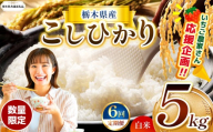 【栃木県共通返礼品】【先行予約】【定期6回】数量 限定 訳あり 定期便 令和8年度 栃木県産 コシヒカリ 約 5kg | 数量限定 こしひかり 精米 白米 米 ごはん おいしい 密閉パック ふるさと納税 那珂川町 栃木県