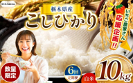 【栃木県共通返礼品】【先行予約】【定期6回】数量 限定 訳あり 定期便 令和8年度 栃木県産 コシヒカリ 約 10kg | 数量限定 こしひかり 精米 白米 米 ごはん おいしい okome kome お米 コシヒカリ ふるさと納税 那珂川町 栃木県