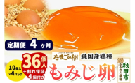 《定期便4ヶ月》 たまごの樹 純国産鶏種 卵『もみじ』36個+割れ保証4個付き（10個入×4パック） [たまご タマゴ 玉子 鶏卵 まとめ買い オムレツ 卵かけご飯 朝食 料理 美味しい 瀧田養鶏場]