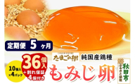 《定期便5ヶ月》 たまごの樹 純国産鶏種 卵『もみじ』36個+割れ保証4個付き（10個入×4パック） [たまご タマゴ 玉子 鶏卵 まとめ買い オムレツ 卵かけご飯 朝食 料理 美味しい 瀧田養鶏場]