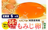 《定期便6ヶ月》 たまごの樹 純国産鶏種 卵『もみじ』36個+割れ保証4個付き（10個入×4パック） [たまご タマゴ 玉子 鶏卵 まとめ買い オムレツ 卵かけご飯 朝食 料理 美味しい 瀧田養鶏場]