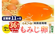 《定期便11ヶ月》 たまごの樹 純国産鶏種 卵『もみじ』36個+割れ保証4個付き（10個入×4パック） [たまご タマゴ 玉子 鶏卵 まとめ買い オムレツ 卵かけご飯 朝食 料理 美味しい 瀧田養鶏場]